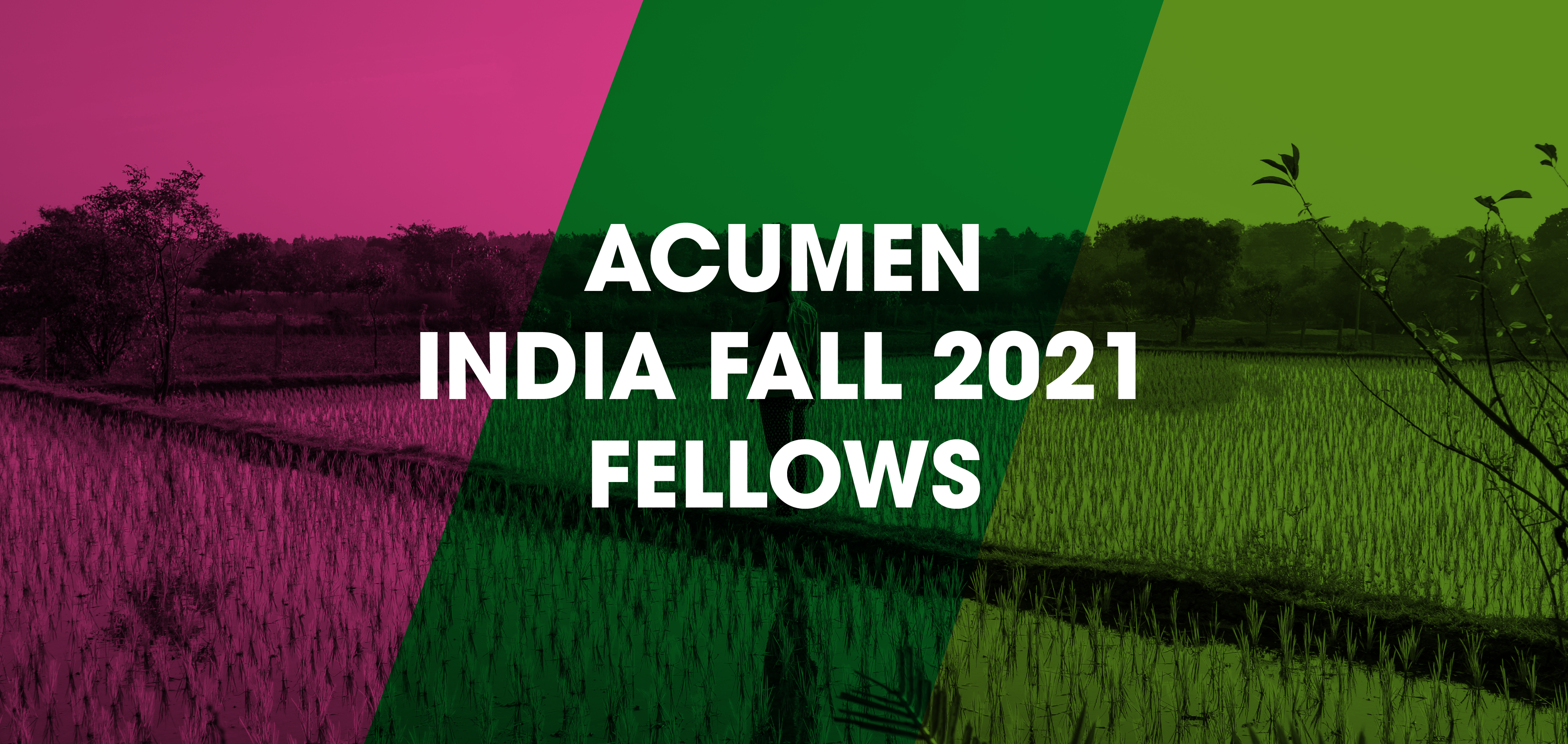 Kashmari Monlisa Sex Videos - Meet the 2021 Fall Cohort of Acumen Fellows in India